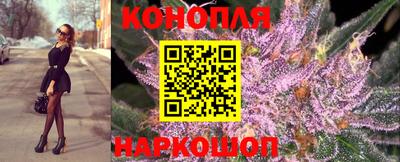 ALPHA PVP Коммунар