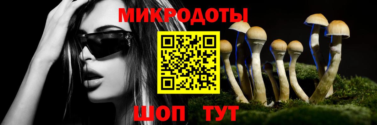 Галлюциногенные грибы Cubensis Красный Сулин